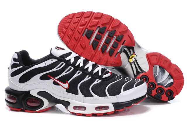 requin tn homme
