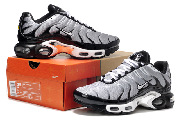 requin tn homme