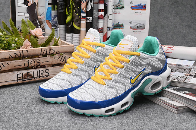 nike tn couleur