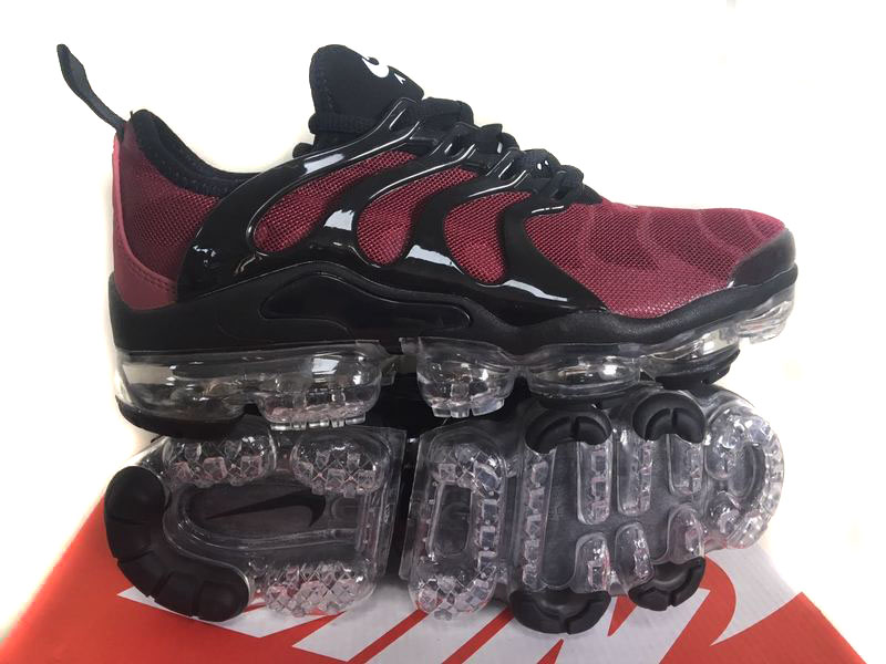 requin tn discount